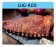 Calendari personalizzati carne cotta 2025